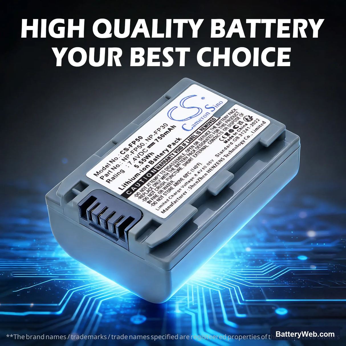 Sony DCR-SR40 Replacement Battery, 7.4V, 750mAh, Li-ion 7