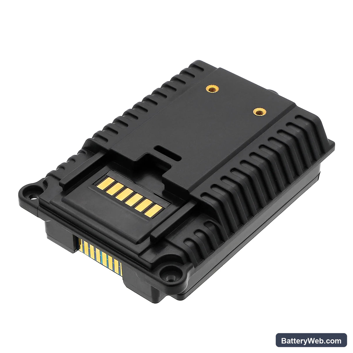 RAE Systems RAE029-0695000 Replacement Battery, 7.4V, 1800mAh, Li-ion 3