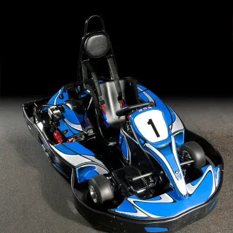 Go Kart Batteries