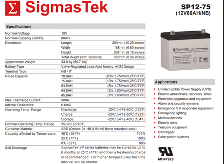 Lincoln Electric Company SA-250 High Performance Replacement Battery