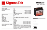 Champion 20-BS Compatible Replacement Battery