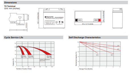 Sunnyway SW12180-F2 High Performance Replacement Battery
