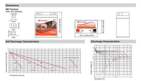 Yuasa YTX16-BS High Performance Replacement Battery