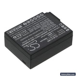 Leica V-Lux 4 Replacement Battery, 7.4V, 1000mAh, Li-ion 2