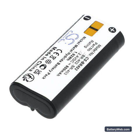 Olympus DS-5000ID Replacement Battery, 2.4V, 800mAh, Ni-MH 2