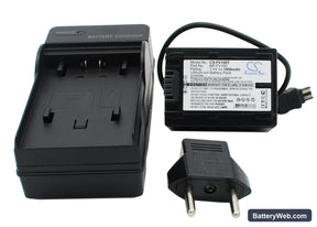 Sony HDR-TG1 Replacement Battery, 7.4V, 1950mAh, Li-ion 1