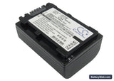 Sony HDR-TG1 Replacement Battery, 7.4V, 600mAh, Li-ion 1