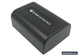 Sony HDR-TG1 Replacement Battery, 7.4V, 600mAh, Li-ion 4