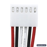 Globus TecarVet 2000 Replacement Battery, 12V, 4000mAh, Ni-MH 4