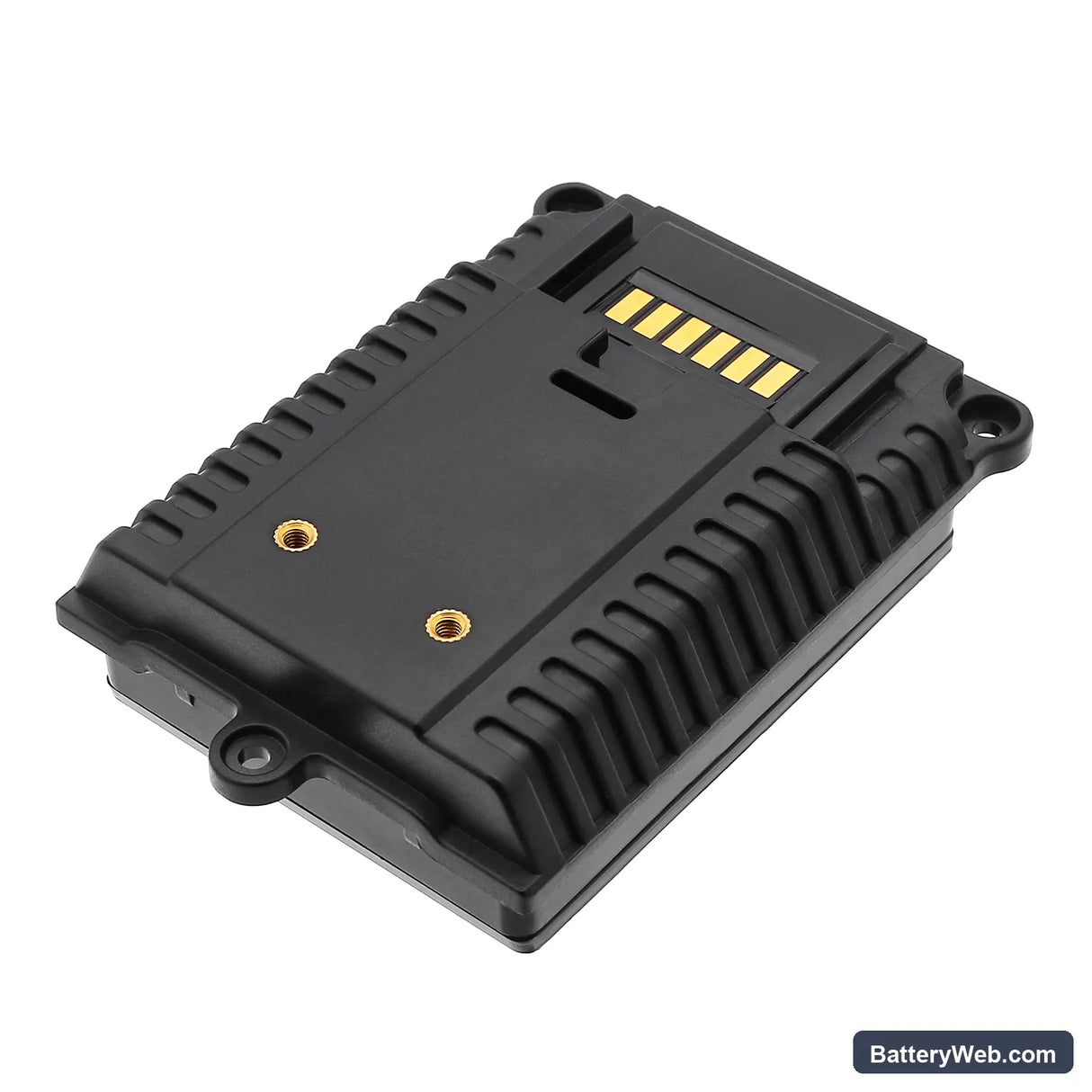 RAE Systems RAE029-0695000 Replacement Battery, 7.4V, 1800mAh, Li-ion 4