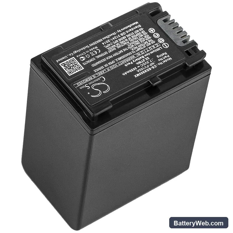 Sony FDR-AX40 Replacement Battery, 7.3V, 3050mAh, Li-ion 2