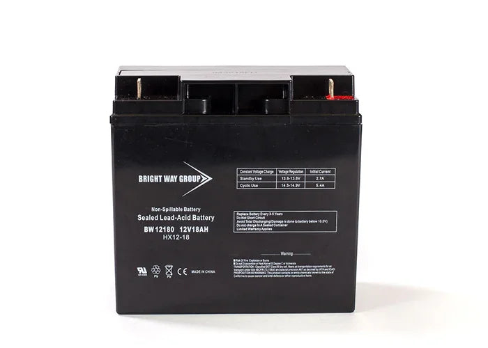 ZapWorld PowerBike Pro Replacement Battery by Bright Way
