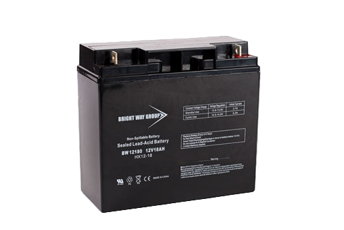 ZapWorld PowerBike Pro Replacement Battery by Bright Way
