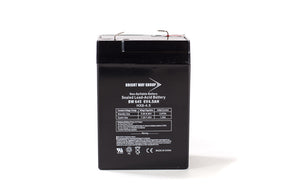 Smart 280 High Performance Replacement Battery By Bright Way