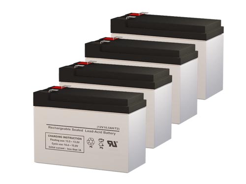 Electric Wheels EW-1000 High Performance Electric Scooter Replacement Battery Set