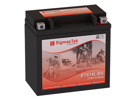 STX14L-BS Compatible Replacement Battery for Honda VT1100 Shadow C2 Saber (1998-2007)